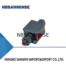 TXK Kontrolownik ciśnienia różniczkowego Max 220V AC ≤5A